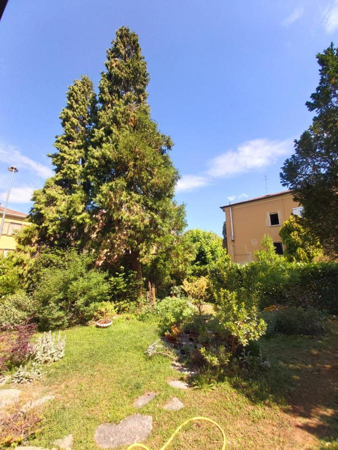B&B Rustic Chic Casa Salva Molinella Exterior foto